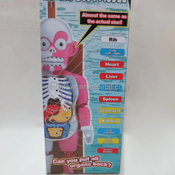 learning resource lab human body doctor play set human body parts