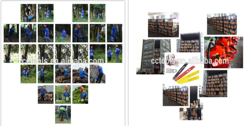 CCM China Manufacture 2-Stroke 52cc chain saw petrol chainsaws