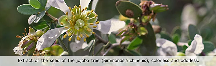 Private Label Skin Care Beard Moisturizer for Hair Skin Jojoba Oil Organic 100% Pure Carrier