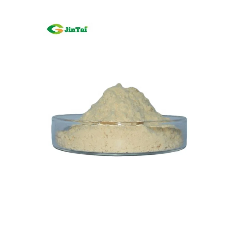 dried malt extract powder Barley Malt Extract dry malt extract