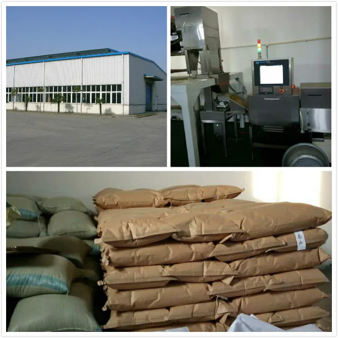 Grade AA shine skin pumpkin seeds kernels, hulled snow white pumpkin seed kernels wholesale