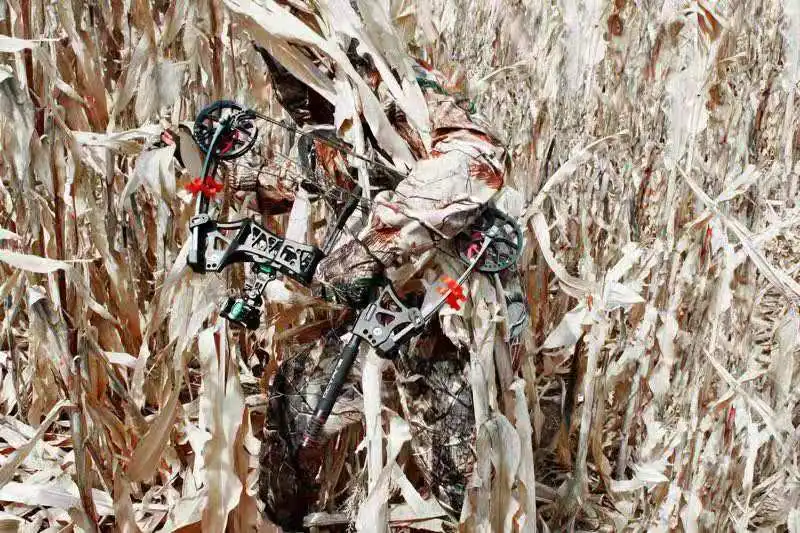 New design compound bow M109E Junxing archery both use steel ball and arrow for shooting