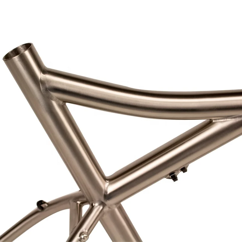 Cross -country style oemtitanium 29 surprise mtb bike frame