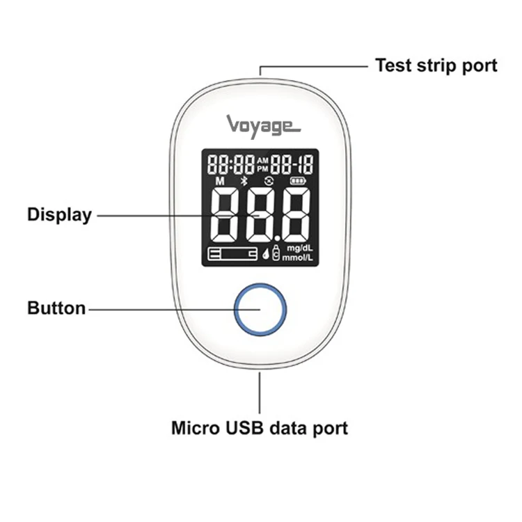 
Health & Medical Superb Blood Nutrition Test 