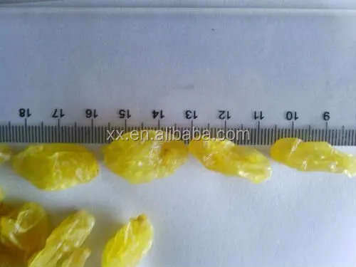 
Best Quality Fruit Products Dried Golden Sweet Raisin 