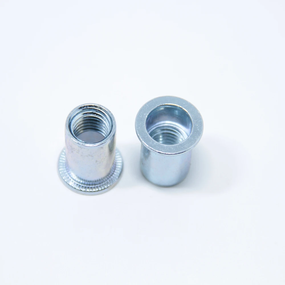 Various Types Round Body M3-M12 Rivet Nut/ Blind Insert Nut