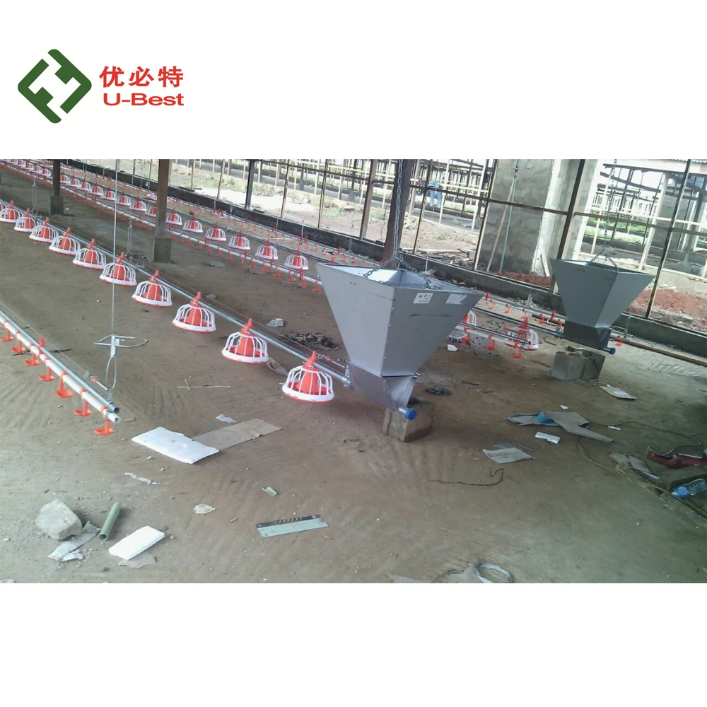 Zimbabwe chicken farm automatic poultry feeder