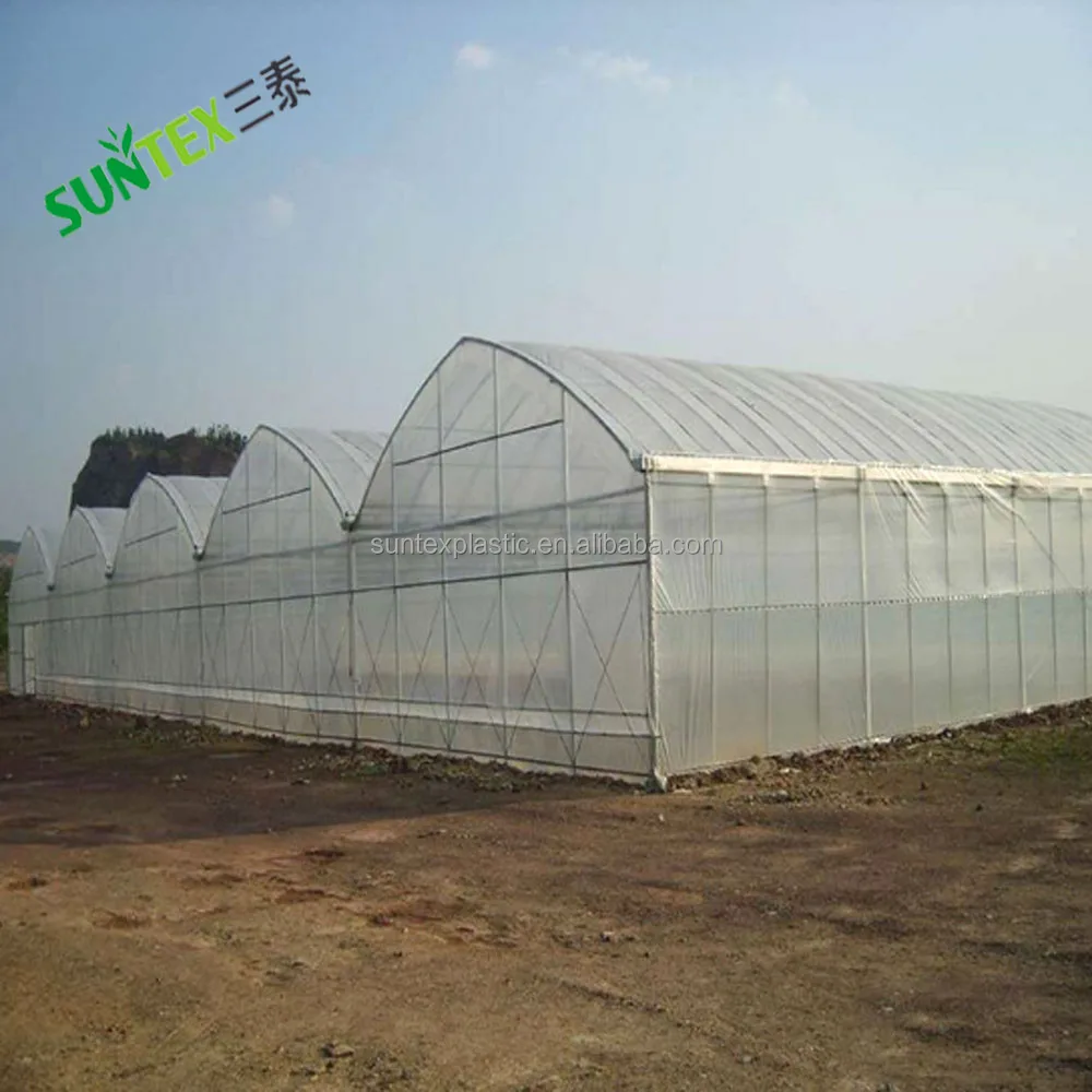 8 мил УФ зеленая пленка для дома, прозрачная полимембрана по индивидуальному размеру, защищающая от дождя лист винограда