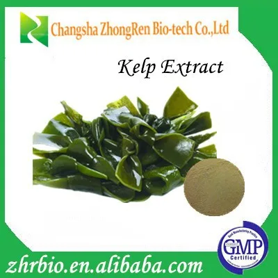 
Hot Sale GMP Certificate Kelp Extract Fucoidan fucoidan laminaria japonica 