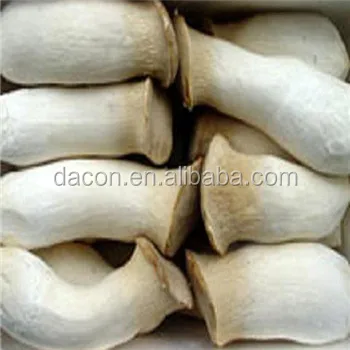 
supply dried pleurotus eryngii whole /slice/powder 