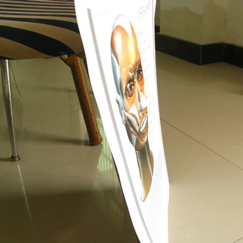 3d printing posters PVC poster with anatomical picture