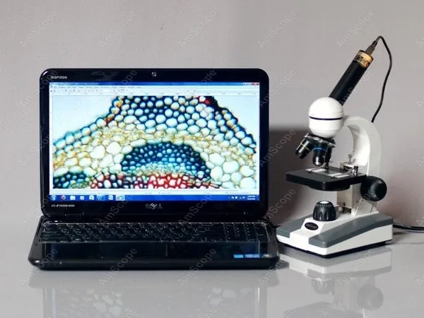 AmScope Supplies 40X-1000X Biological Science Compound Microscope w 10pc Slide Collection & Book