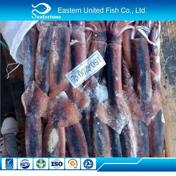Seafood Export Dried Cuttlefish Squid