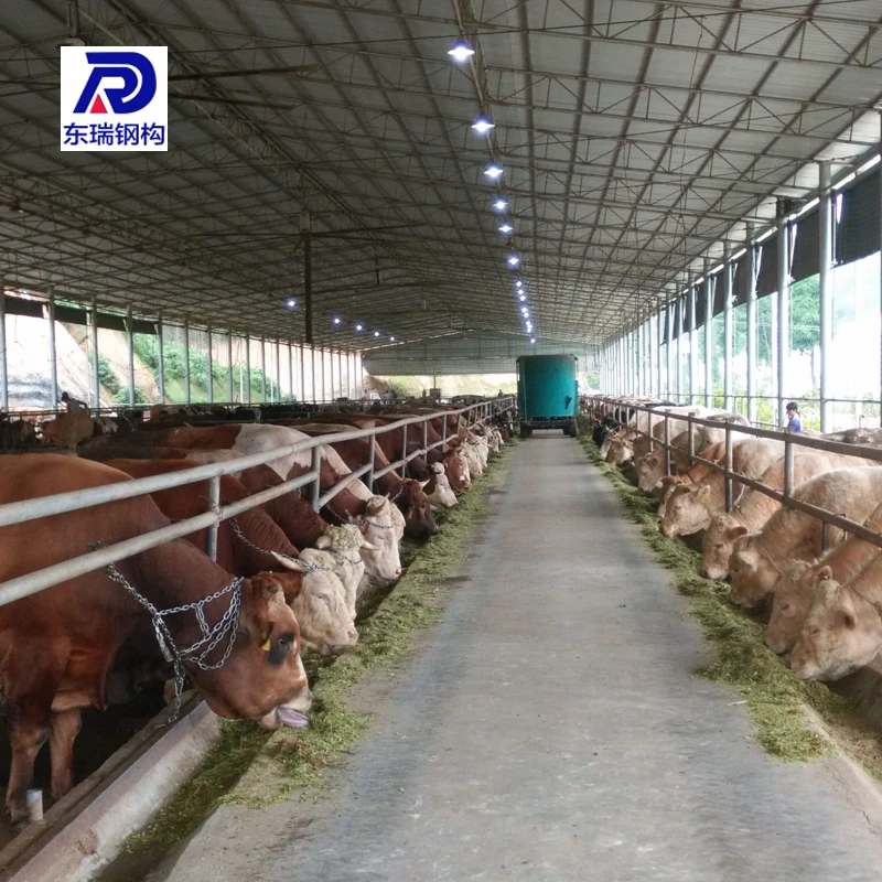Prefabricated Metal Steel Structure Farm Building Cattle/Cow Shed