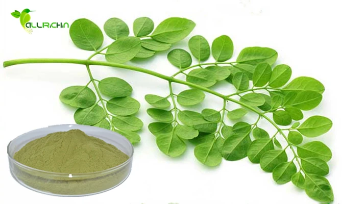 High Quality Freeze Dried Moringa Leaf Powder Manufacturer