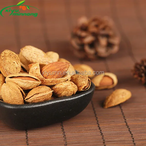 Chinese Premium Roasted and Salted Almond nuts with shell for sale