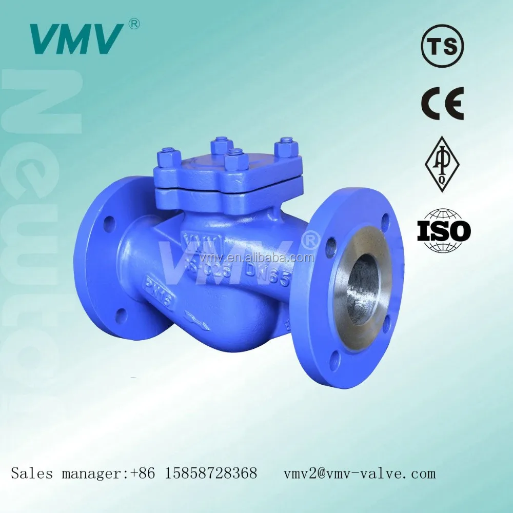 
DN65 FLANGE WCB BODY MATERIAL DIN STANDARD Lift Check Valve 