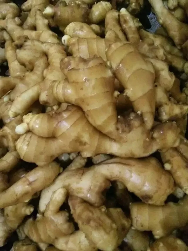 
Chinese Organic Fresh Ginger Price 