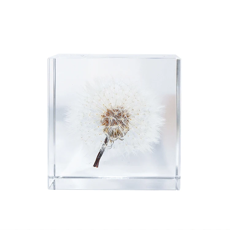 Custom Real Flower Square Resin Paperweight With Wooden Base