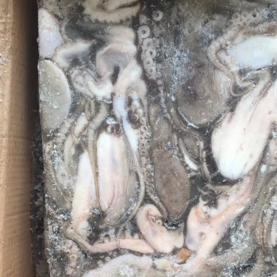 Fresh cleaned frozen octopus ,short leg all size