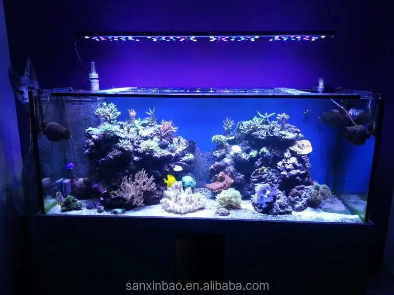 Светодиодный светильник для аквариума, 2017 evergrow не Новый IT5080 интеллигентая (ый) коралловых рифов 32 дюйма светодиодная аквариумная лампа