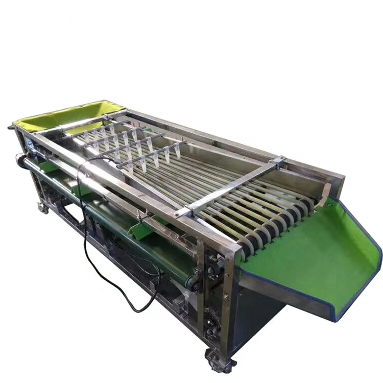 2m Length 9 Pathway Fruit Grading Sorting Machine