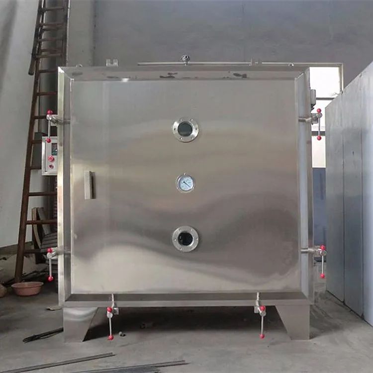 Stainless steel business lyophilizer tomato fruits and vegetables cold air drying frezze machine price