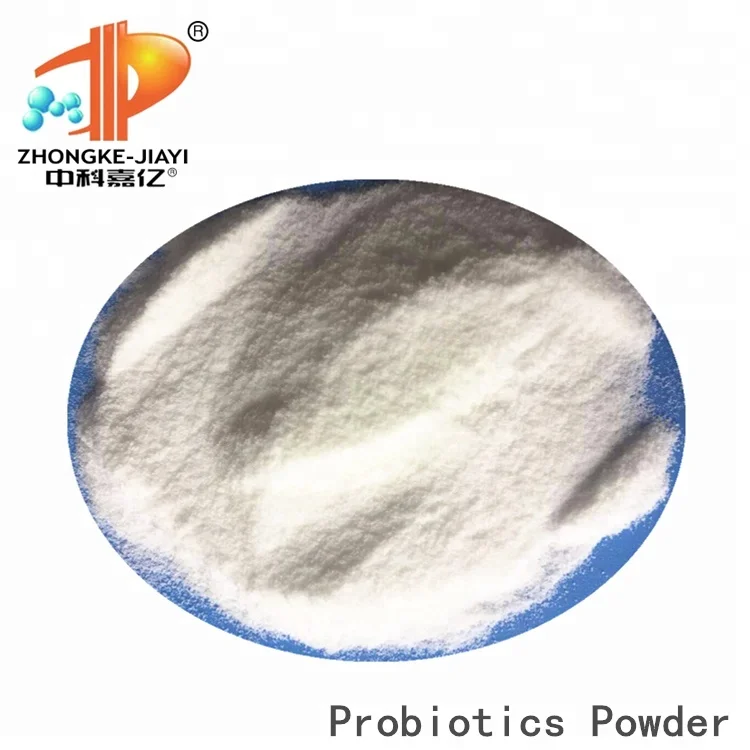 Probiotics 60 Billion Lactobacillus Bulgaricus OEM Solid Beverage