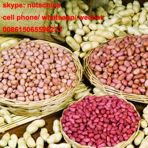 
groundnuts 24/28 28/32 