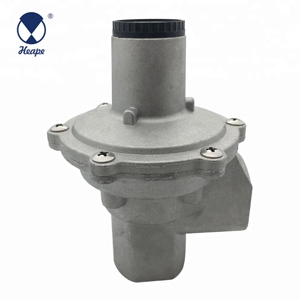 
HEAPE Europe And India Standard Pipe Natural Gas Regulator 