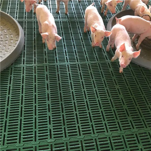 high strength farrowing crate pig flooring plastic slat floor