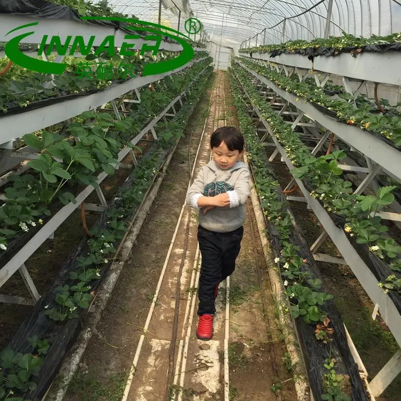 The most popular agricultural products is pinard plant slot