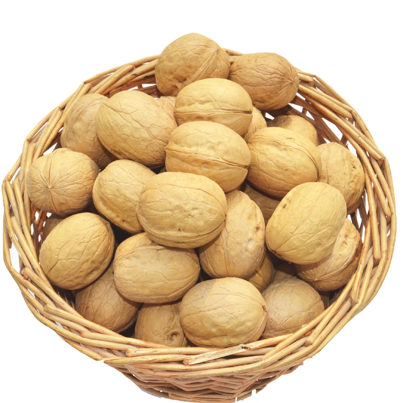 
whole raw walnut in shell walnut export 