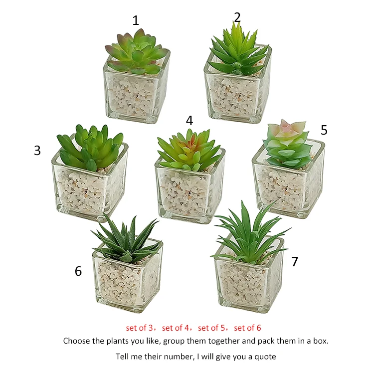 Small Glass Cube artificial succulent mini potted succulent faux plant set