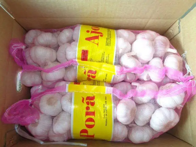 
China Fresh White Garlic , Purple Garlic price in China 