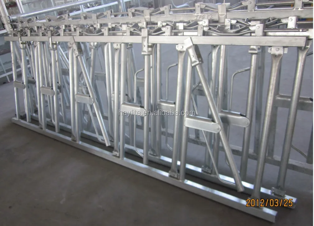 Livestock cattle panel equipment dairy cow headlock for sale