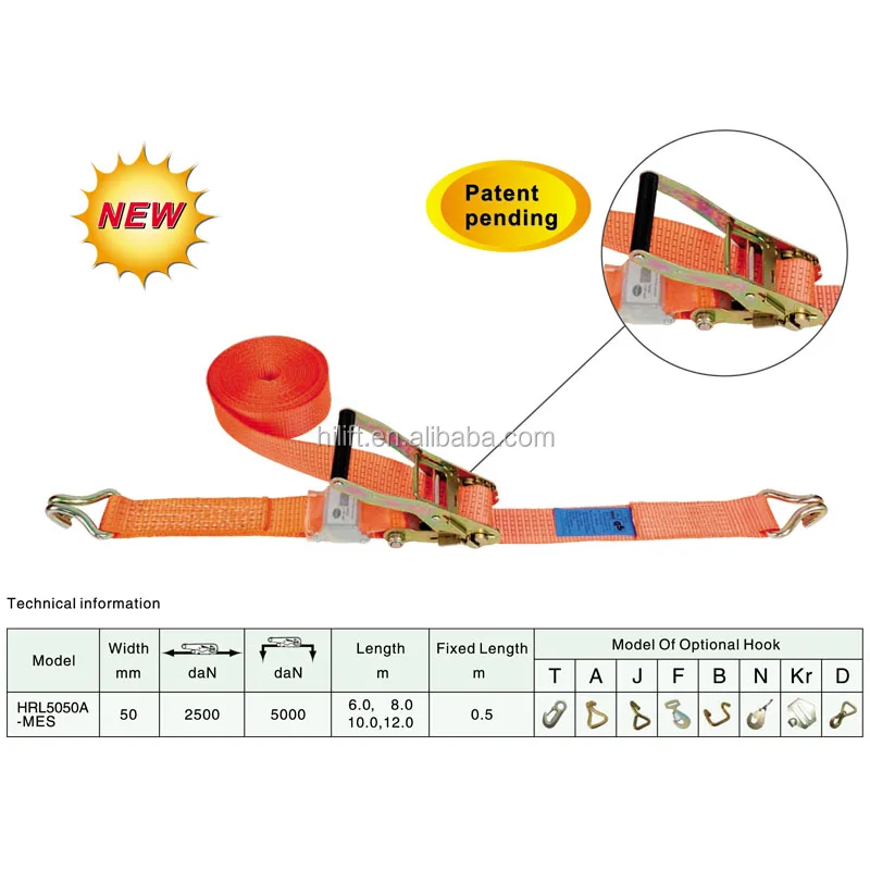 Cargo lashing with tension force indicator