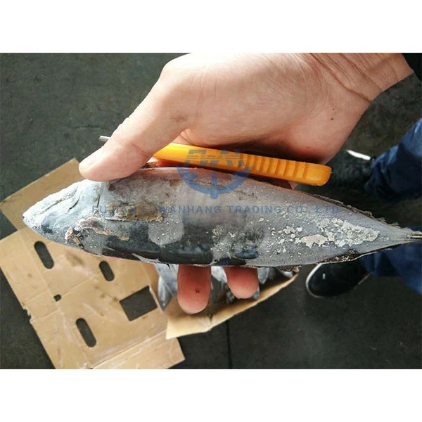 
Fu Wan Hang Frozen Bonito Fish For Canned 
