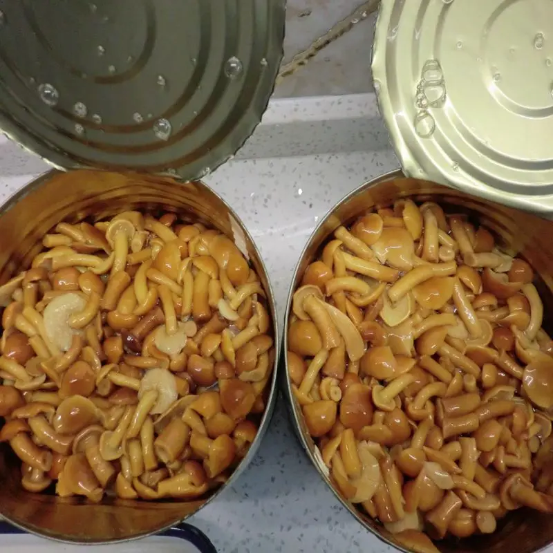 promotion canned mushroom nameko  1700ml