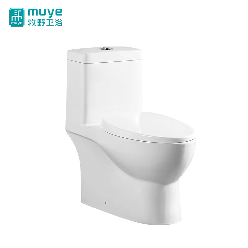 Сплошной дизайн чехол для сиденья с замедлением санитарная посуда двойным сливом сифонические Унитазы туалета