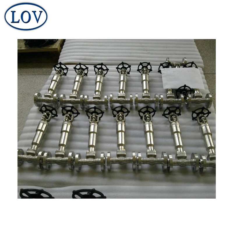 Stainless Steel Extend Bonnet Cryogenic Globe Valve