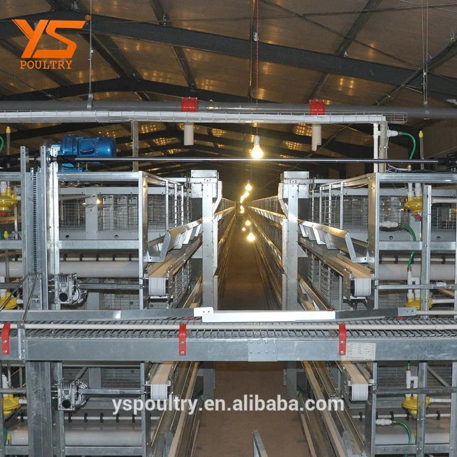 
H Type Automatic Egg Chicken Laying Coop 