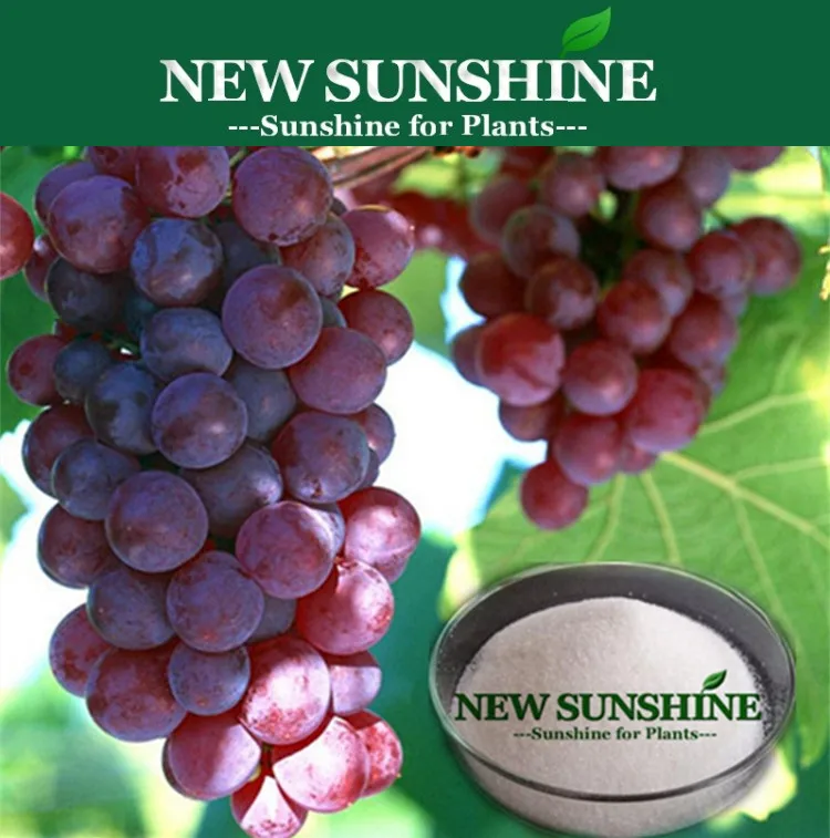 6-BA, CPPU, GA3, plant growth stimulator