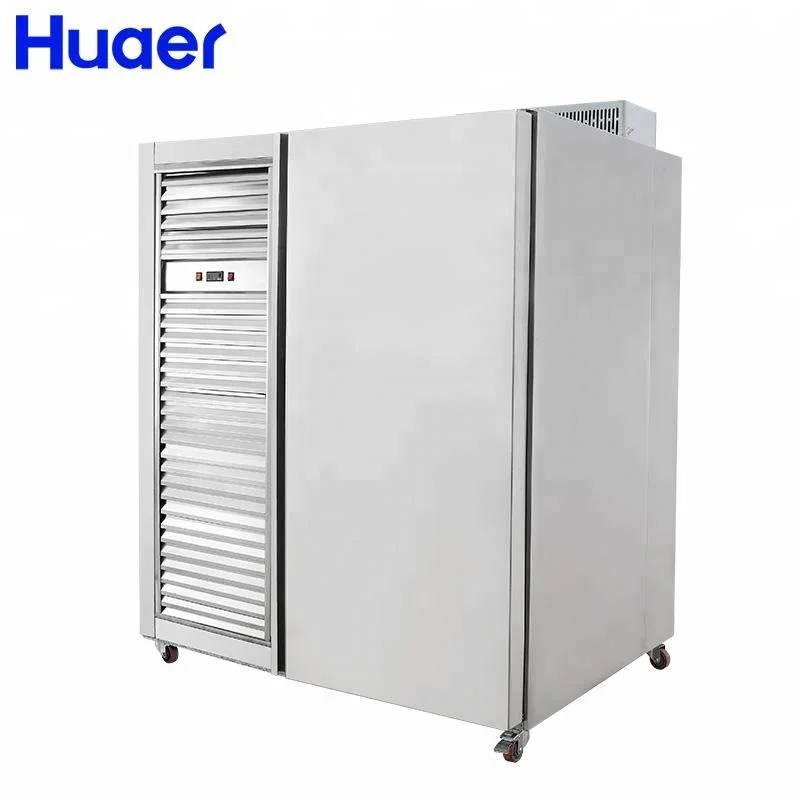 commercial instant shock deep freezer fish machine