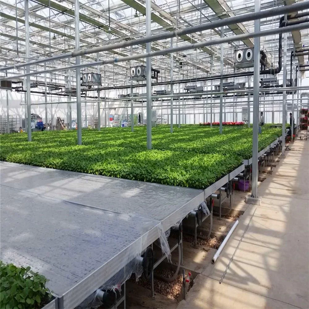 white power coated steel frame seedling polycarbonate covering aquaponics green house