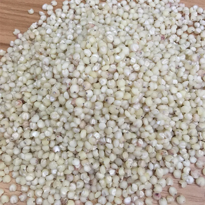 
Sweet Sorghum Seed for Sale 