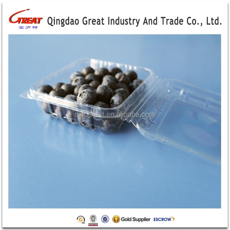 125 Grams Blueberries Clamshell Punnet