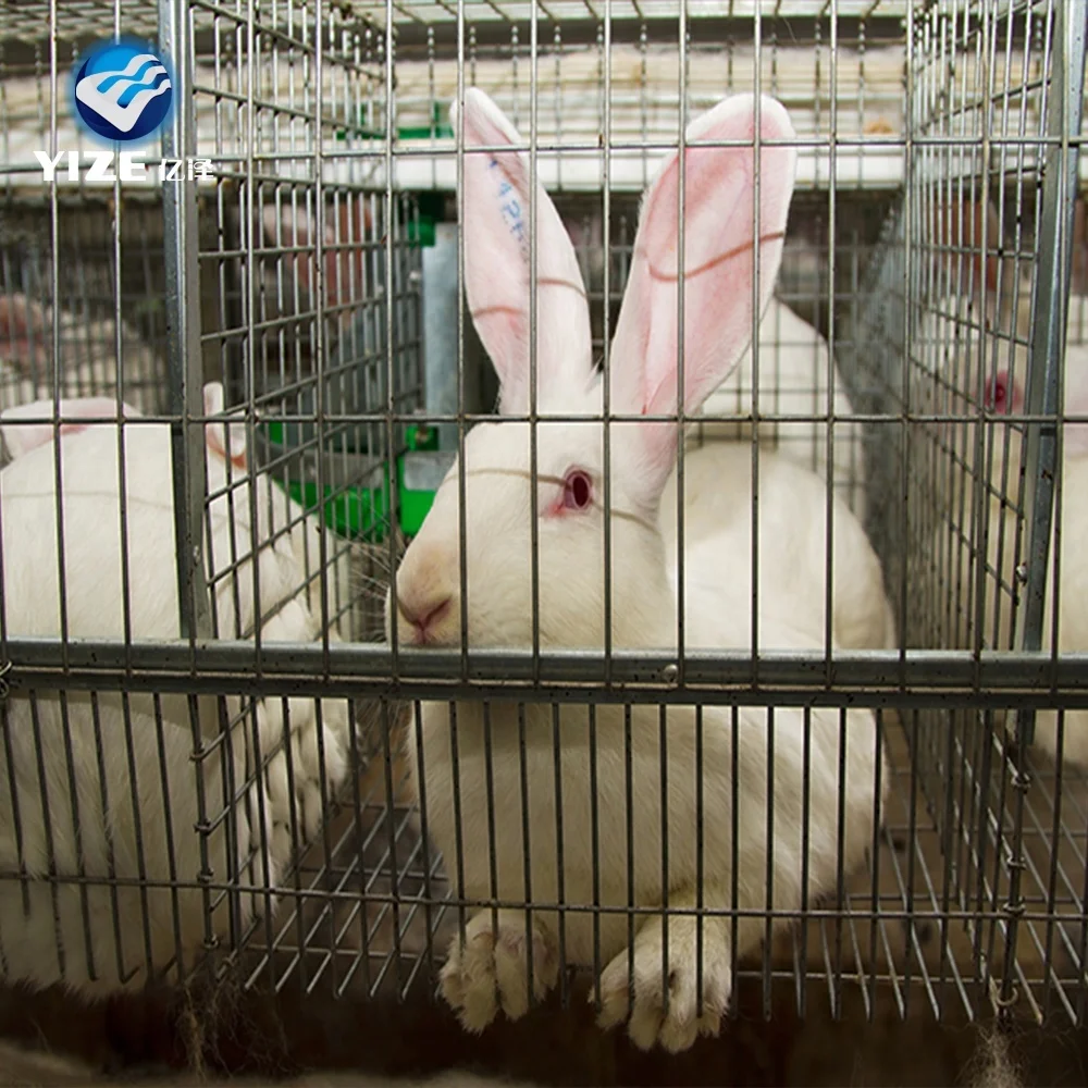 Hot sale easy operating rabbit cage,commercial rabbit farm cage,breeding cage for rabbit farm