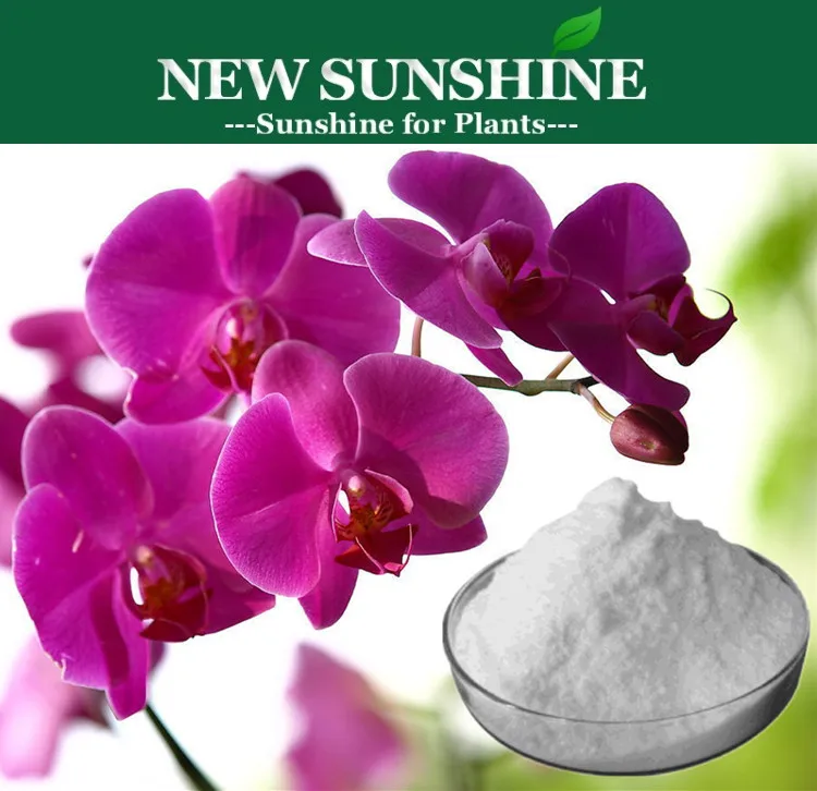 6-Benzylaminopurine (6-BA) Plant hormone of Orchid