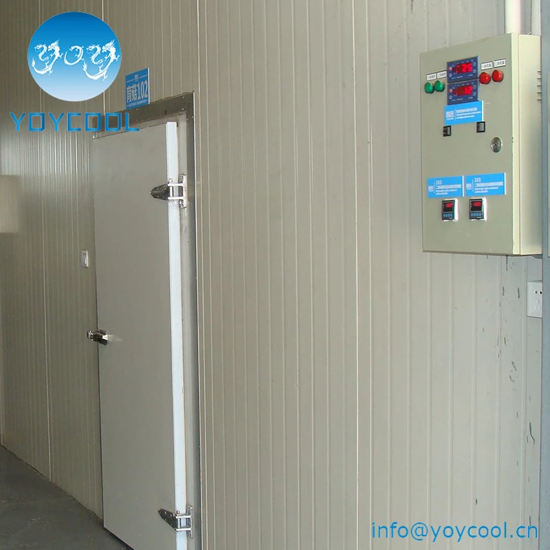 Инженерные экономии морозильная камера проектов с холодной комнате раздвижные двери